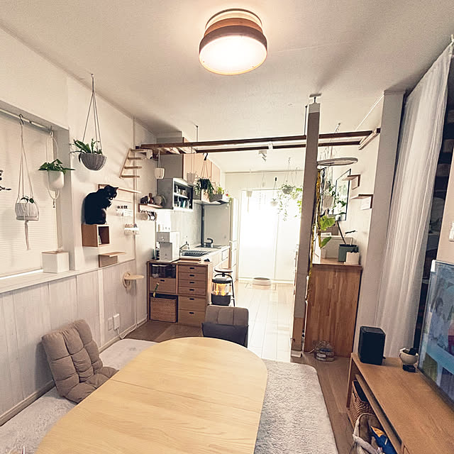 masamasaさんの実例写真