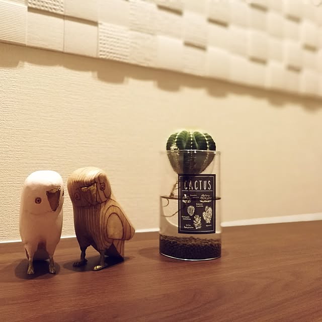 mikaさんの実例写真