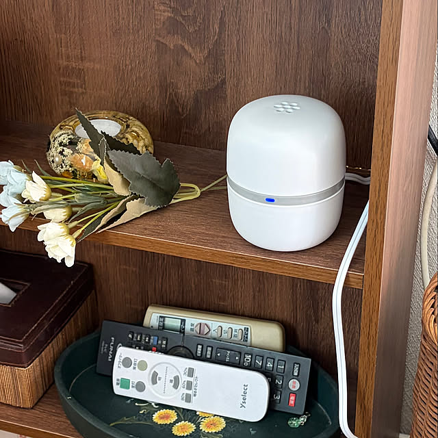 ritsukoさんの部屋