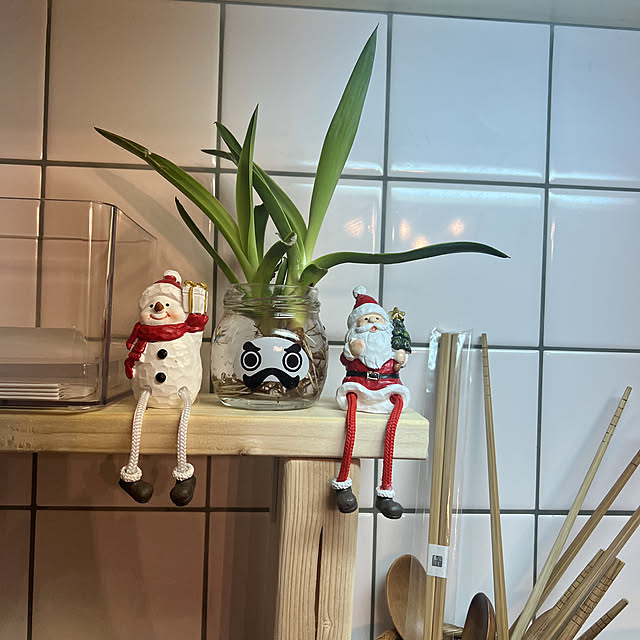 kokedamaさんの実例写真