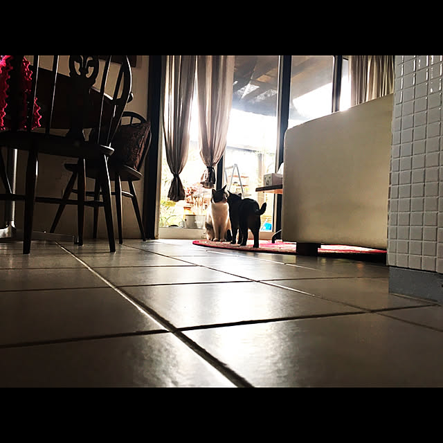 marusanさんの実例写真