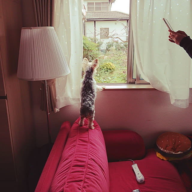 321さんの実例写真