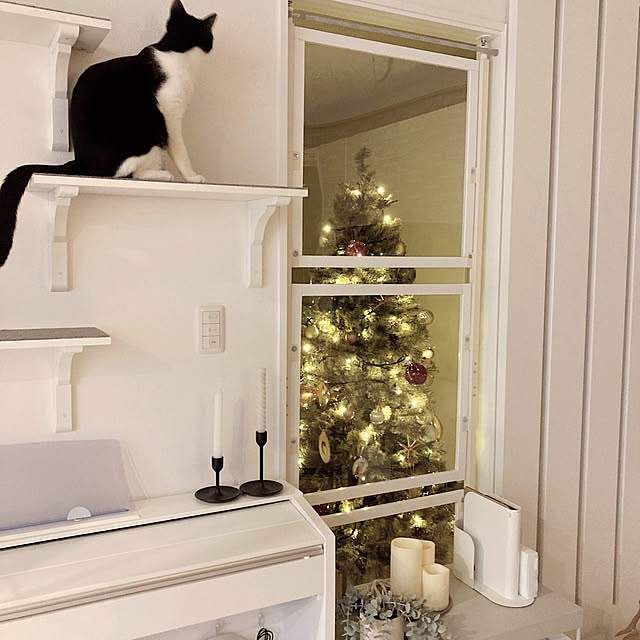 lei_laniさんの部屋