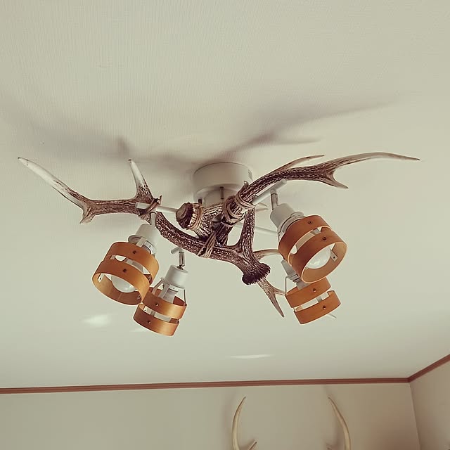 myさんの実例写真