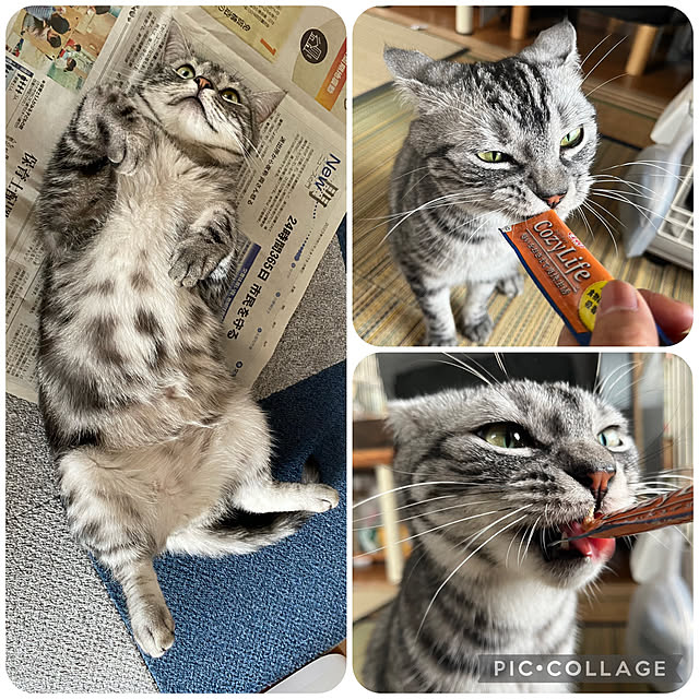 yuzuaoさんの実例写真