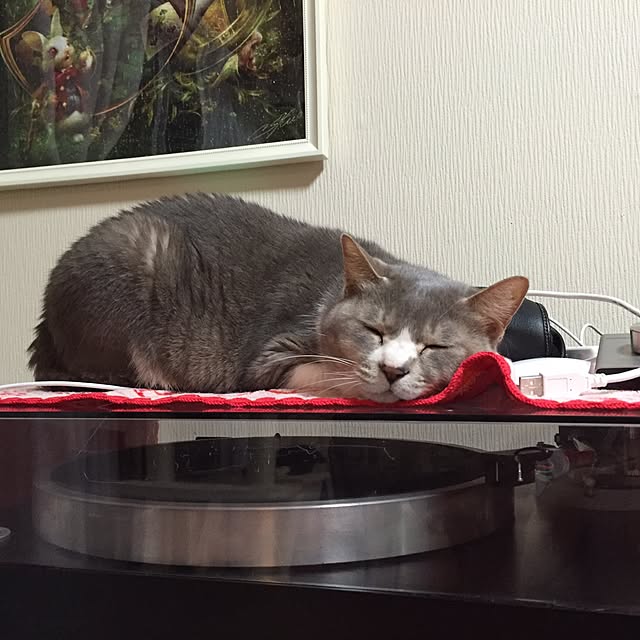 tiduruさんの実例写真