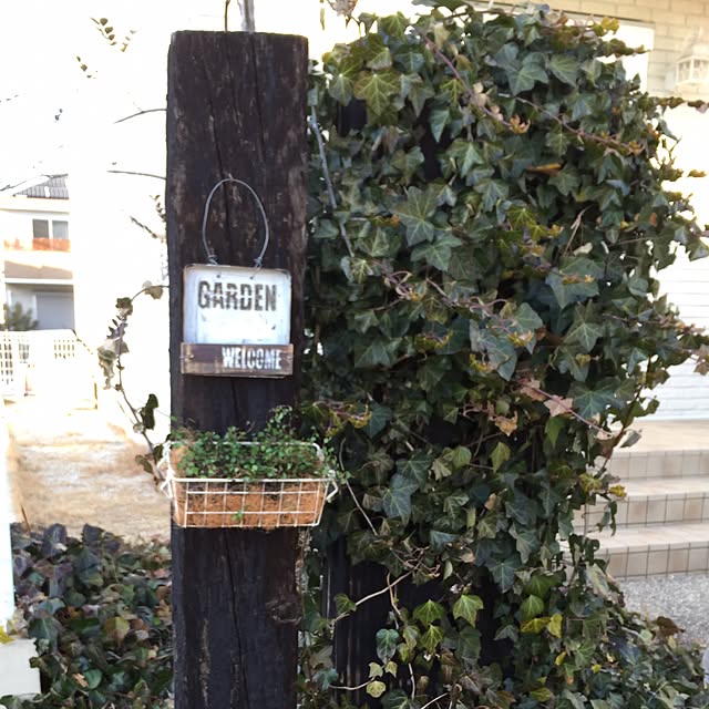 narukoさんの実例写真