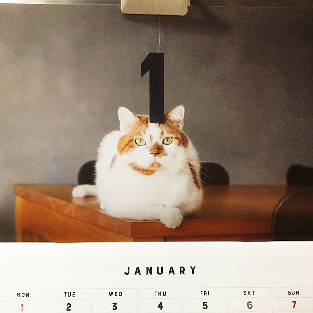 maruさんの実例写真