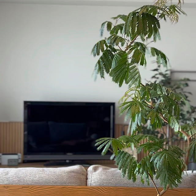 busho_no_hahaさんの部屋