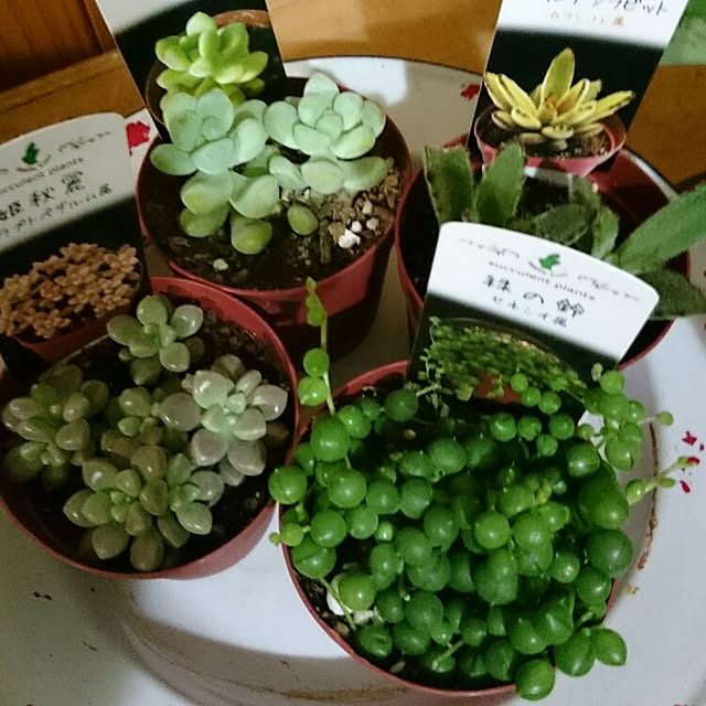 tikuwaさんの実例写真
