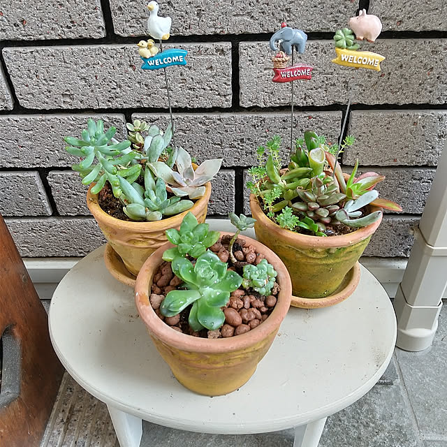 Rさんの実例写真