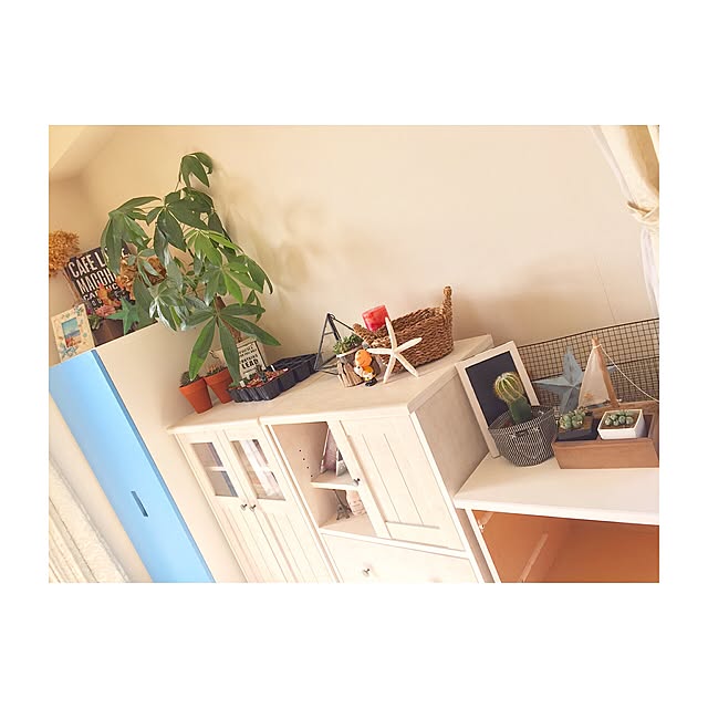 Yumiさんの実例写真