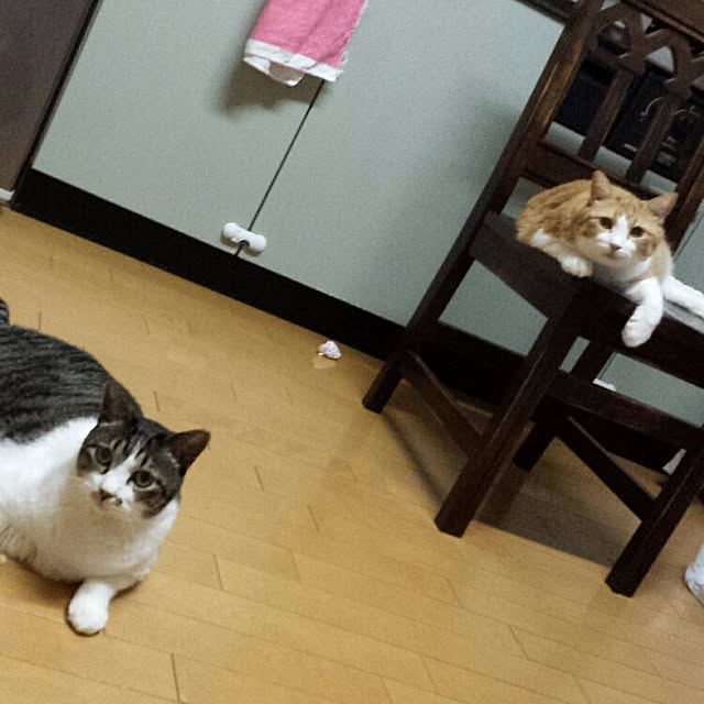 sangoさんの実例写真
