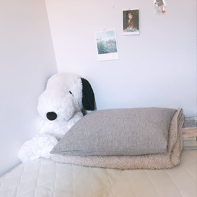 tanakaさんの実例写真