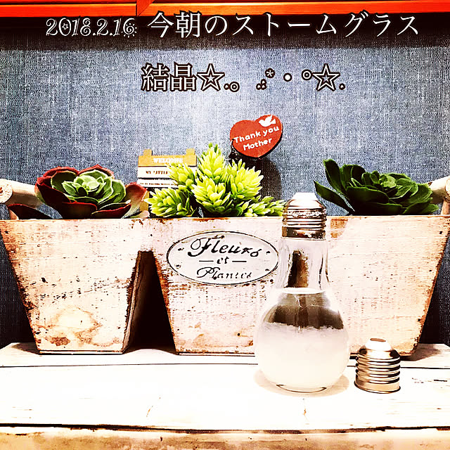 haruさんの実例写真