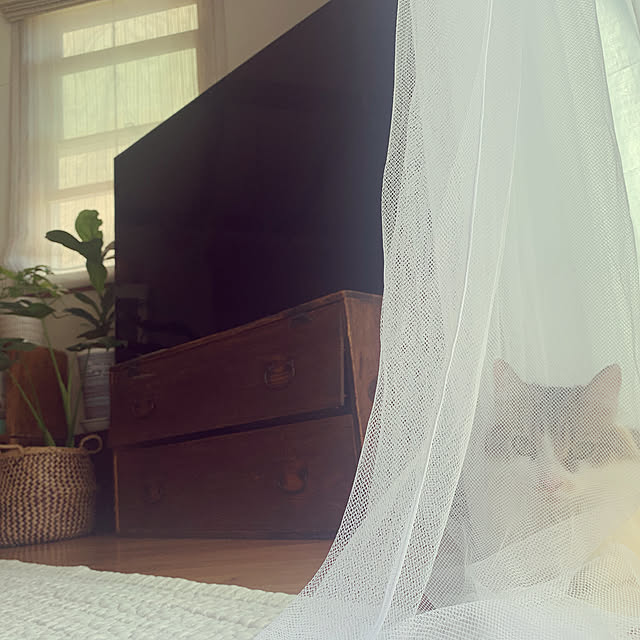 67さんの部屋