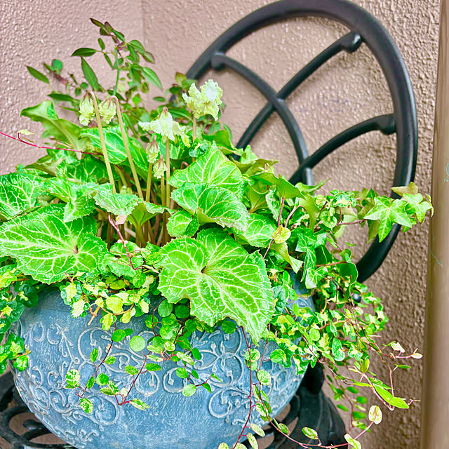 naokoさんの部屋