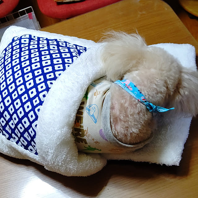 yumirinさんの実例写真