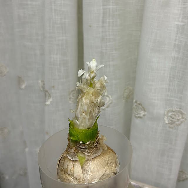 fumikoiさんの部屋