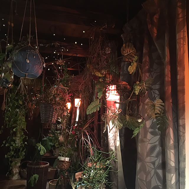 shigimiさんの実例写真