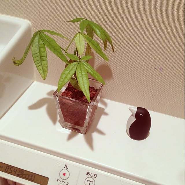 kitakadoさんの実例写真