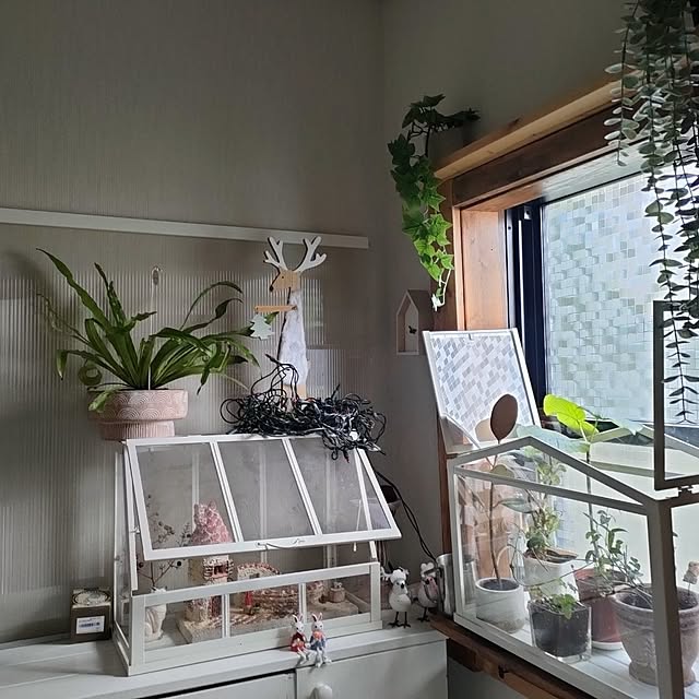 mori_6_12さんの部屋