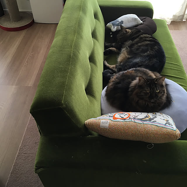 mikomaruさんの実例写真