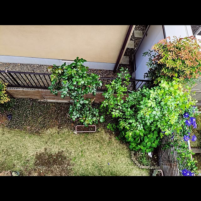 mofukoさんの部屋