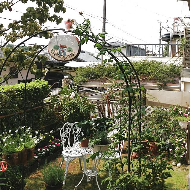 junjunさんの実例写真