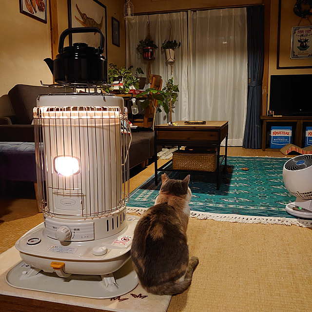 fukuさんの実例写真