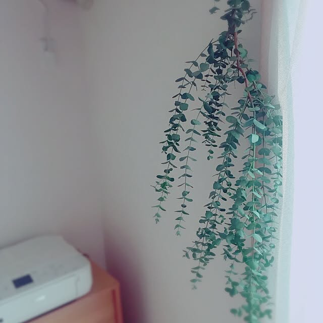 ch4265さんの実例写真