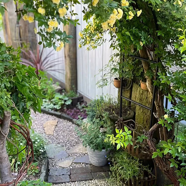 kinu-itoさんの実例写真