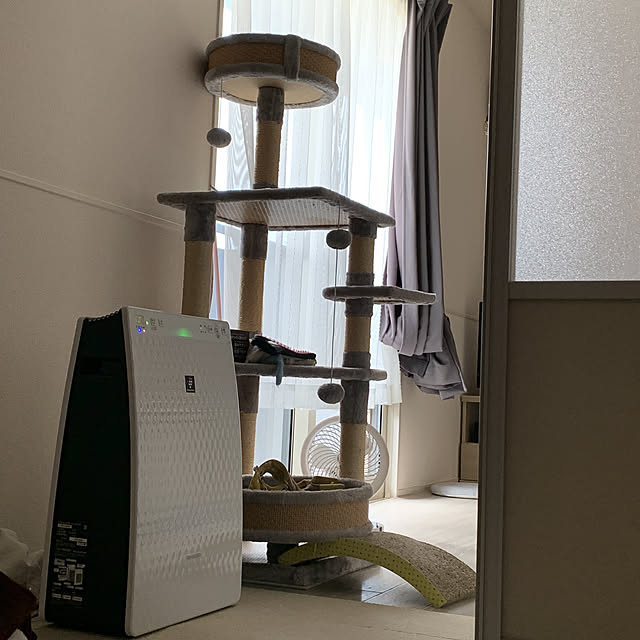Yukikoさんの実例写真