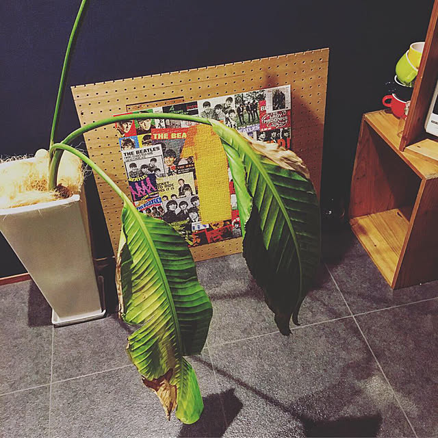 Ryuheiさんの実例写真
