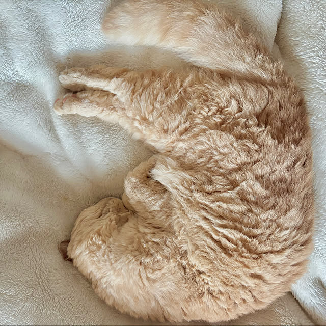 naokoさんの部屋