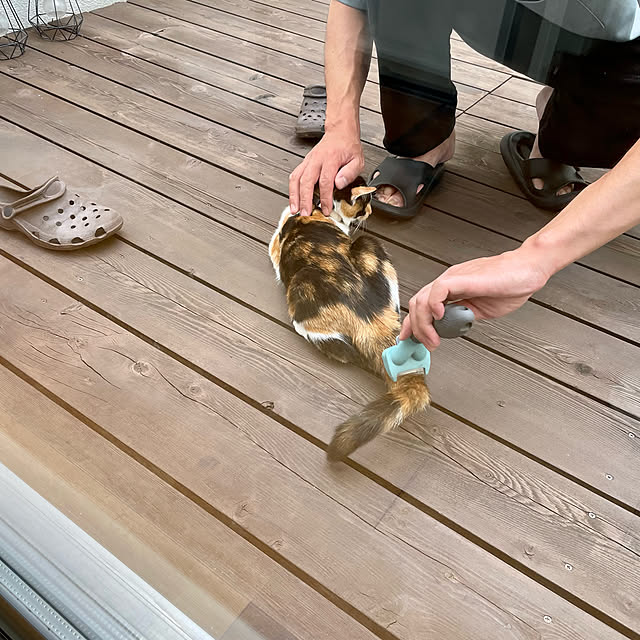 Kaneyukiさんの実例写真