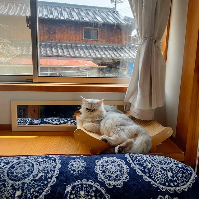 makaronさんの実例写真