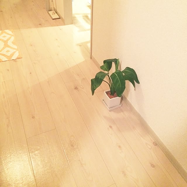 mihoさんの実例写真
