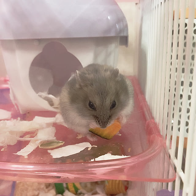 milkさんの実例写真