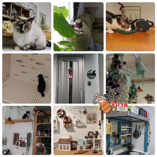 Gomaさんの実例写真