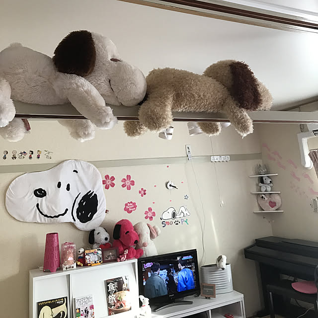 Mihoさんの実例写真