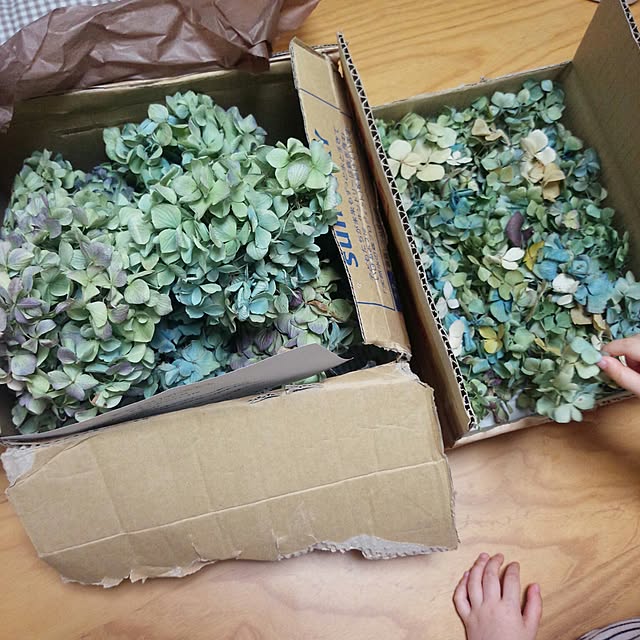 ayaさんの実例写真