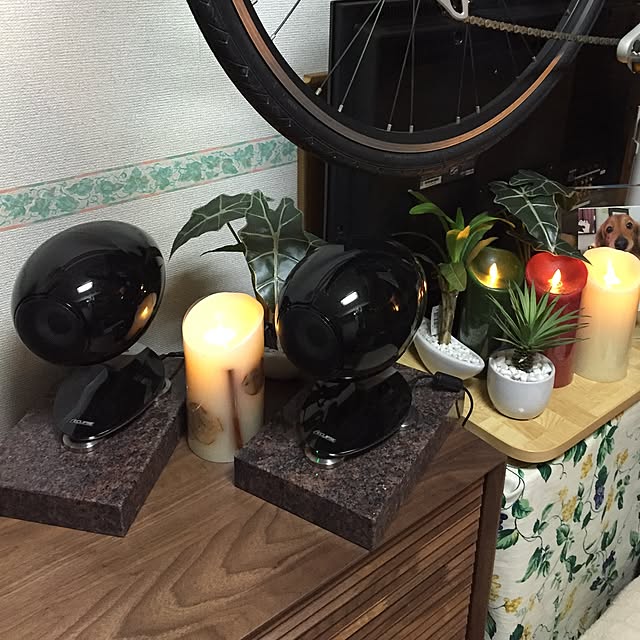 実例写真