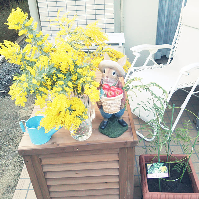 kikiさんの実例写真