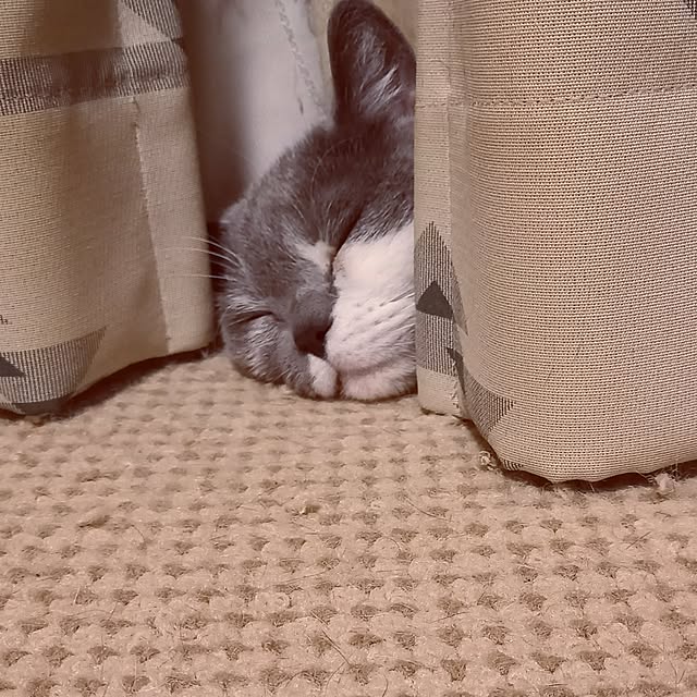 rhuさんの実例写真