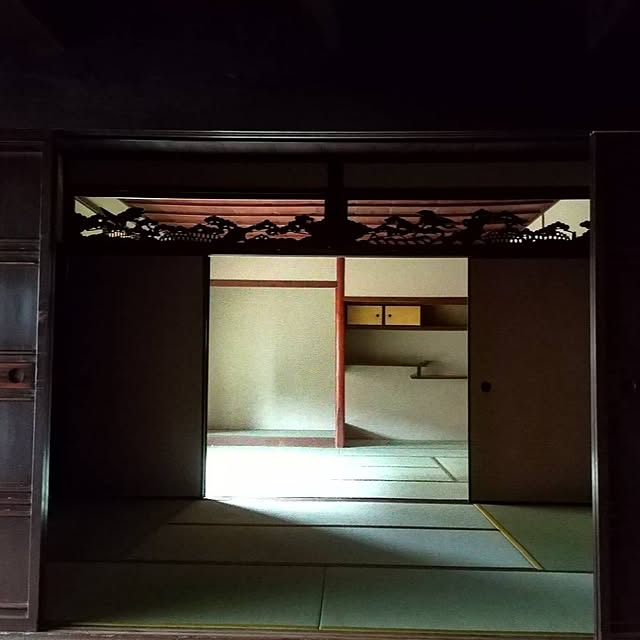 saikaさんの実例写真
