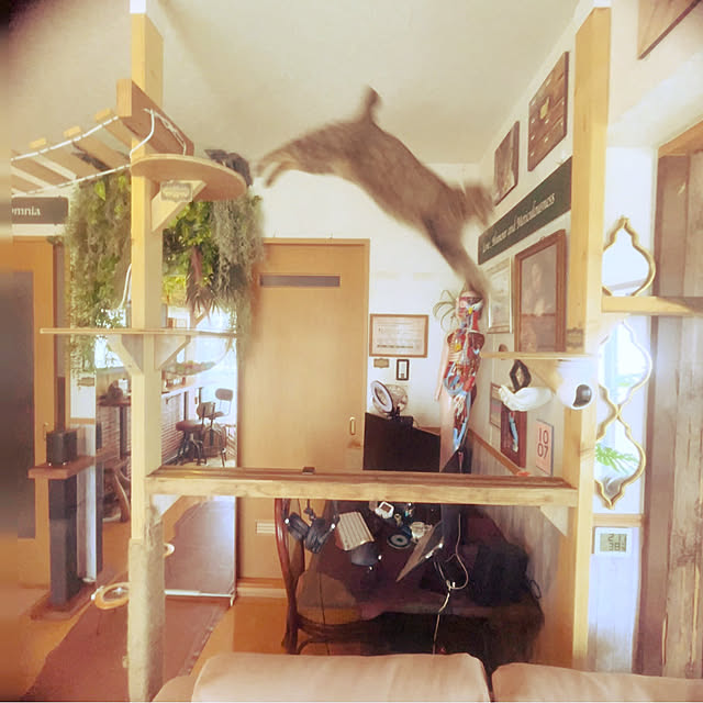 Mさんの部屋