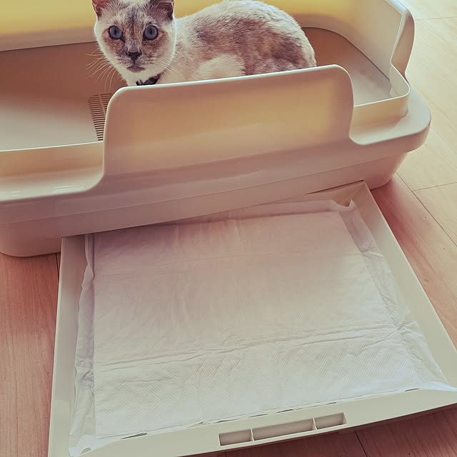 kiyohima229さんの部屋