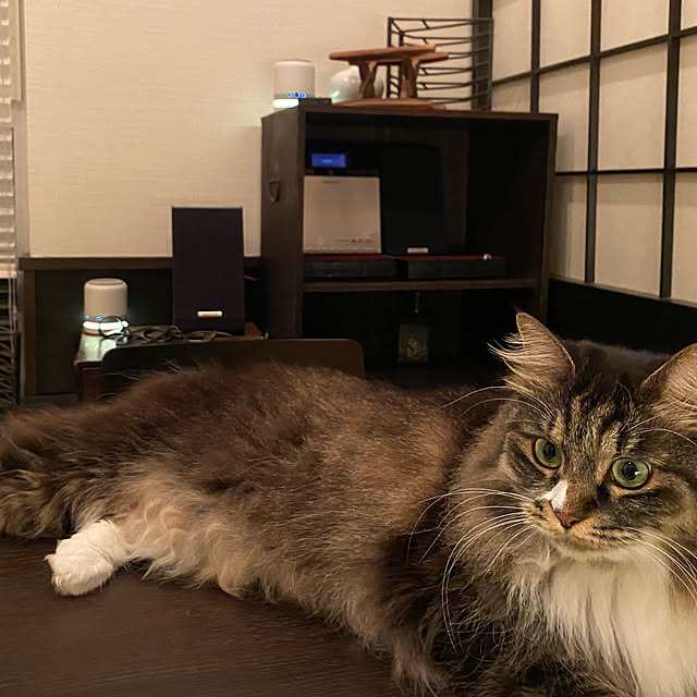 Hisashiさんの実例写真