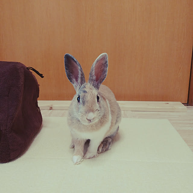 Nanaさんの実例写真